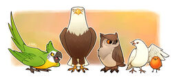  4_toes accipitrid accipitriform ambiguous_gender anisodactyl archimedes_(team_fortress_2) avian avian_feet bald_eagle beak bird bird-man_of_aberdeen cere_(anatomy) chat_(bird) columbid compatriot_(team_fortress_2) dove eagle european_robin feet feral group lintufriikki macaw neotropical_parrot old_world_flycatcher open_beak open_mouth open_smile oscine owl parrot passerine red_army_robin robin_(bird) saxicoline sea_eagle sir_hootsalot smile team_fortress_2 toes true_parrot valve 