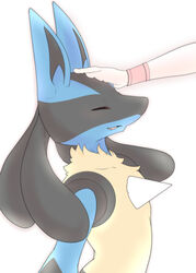  ambiguous_gender blue_body blue_fur blush blush_lines canid canine closed_eyes dark_inner_ear duo eyelashes fangs frill_(anatomy) fur generation_4_pokemon happy head_pat hi_res lucario mammal neck_frill netiel nintendo open_mouth pokemon pokemon_(species) side_view simple_background solo_focus standing teeth tongue 