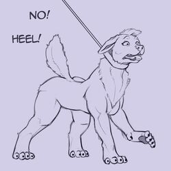  1:1 canid canine canis collar dialogue domestic_dog female feral hi_res leash lord_magicpants mammal monochrome nude open_mouth pawpads solo tongue transformation wide_eyed 