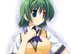  amazuyu_tatsuki ascot blue_ascot blue_eyes blush buttons comic_party female green_eyes green_hair hair_between_eyes no_nose ooba_eimi photoshop_(medium) school_uniform shirt short_hair short_sleeves simple_background solo sweater_vest white_shirt 