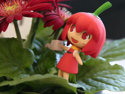  artist_request boukun_habanero chibi chibi_only chili_pepper female figure flower habanero-tan habanero_pepper photo_(medium) plant red_flower solo watering_can 