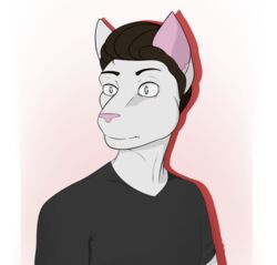  anthro black_clothing black_shirt black_topwear brown_hair clothing domestic_cat eyebrows felid feline felis fur hair hano101 hano_(hano101) hi_res male mammal raised_eyebrow shirt simple_background simple_eyes solo topwear white_body white_fur 