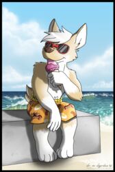  anthro avery_(vir-no-vigoratus) barefoot blue_sky canid canine canis clothed clothing cloud dessert domestic_dog eyewear featureless_chest feet food fur hair herding_dog ice_cream ice_cream_cone licking male mammal orange_body orange_clothing orange_fur orange_swimwear outside pastoral_dog sand silver_hair sitting sky solo sunglasses swimming_trunks swimwear tongue tongue_out topless vir-no-vigoratus water welsh_corgi white_body white_fur 