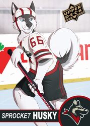  anthro big_tail blue_eyes bottomwear canid canine canis card_template character_name claws clothing curled_tail domestic_dog fur grin hi_res hockey hockey_card hockey_jersey hockey_player hockey_stick holding_object husky ice_rink inside kutekittykatt logo male mammal multicolored_body multicolored_fur nordic_sled_dog number short_sleeves shorts smile solo spitz sport tail trading_card trading_card_template two_tone_body two_tone_fur white_body white_fur white_tail 