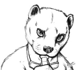  absurd_res anthro black_nose bryce_daeless bust_portrait candy countershading dessert eurasian_otter eyewear food goggles goggles_around_neck hi_res lollipop lutra male mammal monochrome mustelid otter paws portrait ransom_(artist) river_otter solo 