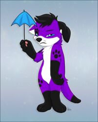  anthro black_hair canid canine canis domestic_dog elkhound floppy_ears footprint fur grumpy hair holding_object kwik_(artist) male mammal markings pawalo pawprint pawprint_(marking) purple_body purple_fur solo spitz umbrella white_body white_fur 