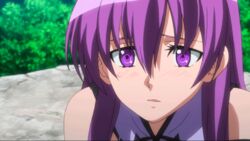  akame_ga_kill! animated animated blush female long_hair looking_at_viewer purple_eyes purple_hair schere sheele solo 