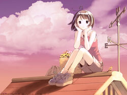  ahoge bird brown_eyes brown_hair cloud female flower highres kikuchi_yume mahou_tsukai_ni_taisetsu_na_koto outdoors photoshop_(medium) rooftop shoes short_hair shorts sitting sky sneakers solo weather_vane yoshizuki_kumichi 