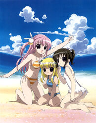  3girls animal_ears beach bikini blonde_hair brown_eyes brown_hair casual_one-piece_swimsuit cat_ears cloud day hair_ornament kneeling long_hair misha_(pita_ten) multiple_girls ocean official_art one-piece_swimsuit outdoors pink_hair pita_ten ponytail rabbit_hair_ornament sakai_kyuuta shia_(pita_ten) sitting sky striped_bikini striped_clothes swimsuit tankini uematsu_koboshi white_one-piece_swimsuit 