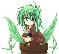  alraune brown_jacket female flower_pot green_eyes green_hair holding jacket leaf long_sleeves looking_at_viewer makino_(ukiuo) monster_girl oekaki plant plant_girl potted_plant saiko_(ukagaka) simple_background solo ukagaka white_background 