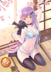  :o arm_behind_head arm_up bare_arms bat_wings bibi_(tokoyami_towa) black_choker black_legwear blue_bra blunt_bangs blush bow bow_panties bra breasts cherry_blossoms choker cleavage collarbone cup dango demon_tail ear_piercing fang_out female food frilled_panties frills green_eyes hair_down hair_ornament hairclip harada_haruki heart highres hololive horns long_hair looking_at_viewer mochi multiple_straps navel o-ring o-ring_choker oerba_yun_fang open_mouth panties petals piercing pink_hair plate pointy_ears purple_bow purple_hair shouji sitting skindentation sliding_doors small_breasts smile tail tea teacup thighhighs tokoyami_towa underwear underwear_only very_long_hair virtual_youtuber wagashi wariza wings wooden_floor 