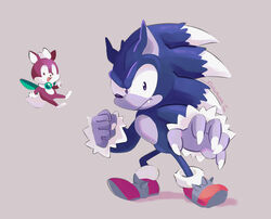  2020 ambiguous_gender anthro biped blue_body blue_fur chip_(sonic) claws clothing duo eulipotyphlan fist flying footwear frown fur grey_background hi_res male mammal open_mouth open_smile red_body red_fur sega shoes simple_background smallpanda smile sonic_the_hedgehog sonic_the_hedgehog_(series) sonic_the_werehog sonic_unleashed standing were wereeulipotyphlan werehog white_body white_fur wings 