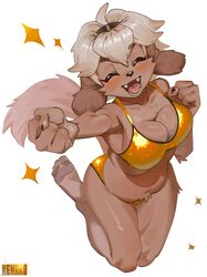  4_toes absurd_res anthro barefoot belly belly_tuft big_breasts bikini biped blonde_hair blush breasts brown_nose canid canine canis chest_tuft claws cleavage closed_eyes clothed clothing digital_media_(artwork) domestic_dog fangs feet female fist floppy_ears golden_week hair hi_res jumping kemari kemono lime_(kemari) lop_ears mammal navel open_mouth open_smile pawpads paws pink_pawpads plantigrade slightly_chubby smile soles solo sparkles swimwear teeth toes tuft 