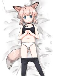  ahoge animal_ears arknights black_choker black_pantyhose black_tank_top blue_eyes blush cameltoe choker clothes_pull clothes_removed female fox fox_ears fox_girl fox_tail from_above grey_hair highres infection_monitor_(arknights) kamihine looking_at_viewer lying navel on_back on_bed oripathy_lesion_(arknights) own_hands_together panties pantyhose pantyhose_pull pillow short_hair solo sussurro_(arknights) tail tank_top underwear white_panties 