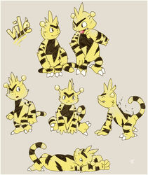  2014 3_toes 4_fingers antennae_(anatomy) argon_vile arm_tuft black_body black_fur brown_background character_name cheek_tuft chest_markings claws duo elbow_tuft electabuzz eyebrows facial_tuft feet fingers fur generation_1_pokemon head_tuft lying male markings model_sheet nintendo on_back pokemon pokemon_(species) signature simple_background solo standing striped_body striped_markings striped_tail stripes tail tail_markings text thick_eyebrows toe_claws toes tongue tongue_out tuft unibrow vile_(argon_vile) yellow_body yellow_fur 