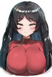  black_hair blush breasts brown_eyes chinese_clothes commentary_request female huge_breasts light_smile long_hair looking_at_viewer noon_maru pucca pucca_(cartoon) raised_eyebrows simple_background solo upper_body white_background 