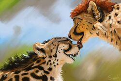  ambiguous_gender cheetah closed_eyes duo ear_piercing felid feline feral fur king_cheetah licking licking_nose male mammal markings nose_lick open_mouth piercing shockwave_(character) spots spotted_body spotted_fur swish teeth tongue tongue_out 