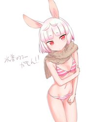  animal_ears bikini blush commentary_request eyebrows female flat_chest gradient_hair highres kyuuri_(miyako) multicolored_hair navel pink_hair pop-up_story rabbit_ears rabbit_girl red_eyes ruri_ookami scarf short_hair simple_background solo swimsuit translated white_background white_hair 