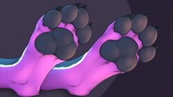  16:9 2017 3dinoz 4_toes ambiguous_gender ambiguous_species anthro blue_body blue_fur canid canine claws digitigrade faceless_ambiguous faceless_character feet foot_shot fur grey_background mammal multicolored_body multicolored_fur pawpads paws pink_body pink_fur simple_background solo toes white_body white_fur widescreen 