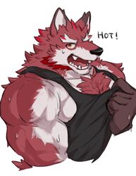  aidemcc anthro bodily_fluids body_hair canid canine chest_hair chest_tuft diederich_olsen fur hi_res knights_college male mammal muscular muscular_anthro muscular_male pecs red_body red_fur solo sweat teacher tuft 