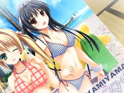  2girls :d alpha_(yukai_na_nakamatachi) antenna_hair bangle beach bikini black_hair bracelet breasts brown_eyes character_name cleavage collarbone cover day eyebrows flower green_eyes hair_bobbles hair_ornament hand_on_own_hip hibiscus highres holding holding_flower indoors jewelry kamiyama_reika kourin_no_machi_lavender_no_shoujo large_breasts long_hair multiple_girls navel necklace ocean one_eye_closed open_mouth sakuragi_hikaru side-tie_bikini_bottom smile striped_bikini striped_clothes swimsuit twintails yellow_flower yuuki_hagure 