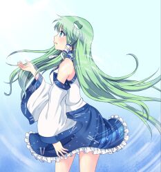  aqua_eyes blue_door commentary_request detached_sleeves female frog green_hair hair_ornament hair_tubes kochiya_sanae long_hair photoshop_(medium) profile skirt solo touhou 