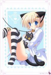  absurdres animal_ears bandage bandages blonde_hair blue_eyes blush cat_ears cat_tail collar copyright_request dress_shirt feline female hair_ornament hairclip highres hug leash leg_up nekoneko panties shirt short_hair sitting solo striped striped_legwear striped_panties tail thighhighs underwear 