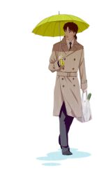  1boy bad_id bad_pixiv_id bag brown_eyes brown_hair coat ghost_in_the_shell ghost_in_the_shell_stand_alone_complex groceries highres male_focus motz3 mullet solo spring_onion togusa_(gits) trench_coat umbrella 