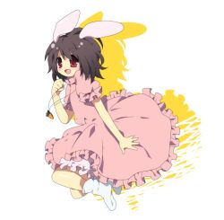  animal_ears bad_id bad_pixiv_id bloomers brown_hair dress female inaba_tewi jewelry pendant rabbit_ears red_eyes socks solo soranagi touhou underwear white_socks 