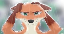  abstract_background anthro arm_tuft bathing black_nose brown_body brown_fur canid canine cheek_tuft dipstick_ears disney dripping ear_markings elbow_tuft facial_tuft fluffy fox front_view frown fur gloves_(marking) green_eyes hb_runo looking_at_viewer mammal markings multicolored_ears neck_tuft nick_wilde orange_body orange_fur red_fox shower solo true_fox tuft white_body white_fur zootopia 