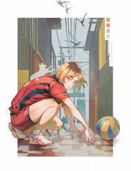  1boy arm_support ball bird blonde_hair border feline full_body haikyuu!! highres kozume_kenma looking_at_viewer male_focus nekoma_volleyball_uniform outdoors shoes short_hair sneakers sportswear squatting twitter_username volleyball_uniform wsr_cao_rong_rong 