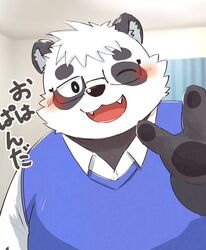  2021 absurd_res anthro bear black_body black_nose blush clothing cute_fangs eyewear giant_panda glasses hi_res inside japanese_text kemono male mame_taro mammal one_eye_closed overweight overweight_male sasayama_akira shirt solo text topwear translation_request vtuber white_body wink 