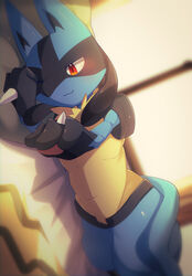  2021 absurd_res ambiguous_gender anthro anthro_pov bed black_body black_fur blue_body blue_fur blush canid canine detailed_background duo first_person_view fur furniture generation_4_pokemon generation_7_pokemon hand_spike hi_res inside legendary_pokemon light lighting looking_at_viewer lucario lying mammal natadeko_kitsune nintendo on_side one_eye_closed pawpads pink_pawpads pokemon pokemon_(species) pupils reaching_towards_viewer red_eyes shaded slit_pupils smile solo_focus spikes spikes_(anatomy) striped_body striped_fur stripes yellow_body yellow_fur zeraora 