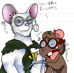  2016 air_bound anthro biped bodily_fluids brown_body duo eyewear fur gakusha gamba_no_bouken gamba_no_bouken_(series) gamba_to_nakama-tachi glasses grayson_(air_bound) japanese_text male mammal mouse murid murine pink_nose pixiv_id_1806579 rodent sweat tears text white_body white_fur 