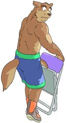  2005 anthro archived_source biped bottomwear brown_body brown_fur canid canine canis clothing domestic_dog fur gombee humanoid_hands kemono male mammal shorts simple_background solo white_background 