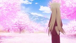  animal_ears anime_screenshot cherry_blossoms day female fox_ears furry furry_female konohana_kitan outdoors scenery sky solo yuzu_(konohana_kitan) 