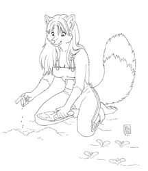  2008 anthro barefoot biped breasts canid canine claws cleavage clothed clothing dipstick_tail feet female fox fur gardening hair jazmyn jazmyn&#039;s_world kacey kneeling mammal markings monochrome multicolored_tail overalls pawpads seed smile soles solo tail tail_markings toes trowel 