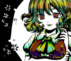  ascot bad_id bad_pixiv_id breast_hold breasts female flower green_hair kazami_yuuka large_breasts lips oto photoshop_(medium) red_eyes ribbon short_hair smile solo touhou vest 