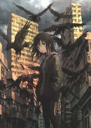  bird black_eyes black_hair black_pantyhose blurry building city cityscape cloud cloudy_sky commentary crow dark depth_of_field feathers female hands_in_pockets highres hood hoodie jacket looking_to_the_side muted_color open_mouth original outdoors pantyhose scenery shorts sky solo tokunaga_akimasa wind 