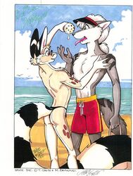  2000 anthro bassariscus beach cacomistle canid canine canis chester_ringtail_magreer chris_deck_(character) clothing dessert duo eyewear fluffy fluffy_tail food fur ice_cream male male/male mammal procyonid sea seaside signature sunglasses swimming_trunks swimwear tail terrie_smith tongue tongue_out traditional_media_(artwork) water wolf 