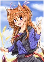  animal_ears blue_eyes blue_shirt blush brown_hair commentary_request cosplay diesel-turbo eyelashes female holo holo_(cosplay) houjou_hibiki koshimizu_ami long_hair look-alike pouch precure shirt solo spice_and_wolf suite_precure tail two_side_up voice_actor_connection wheat wolf_ears wolf_girl wolf_tail 