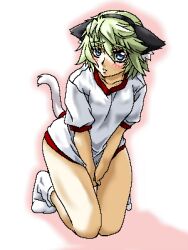  animal_ears artist_request blue_eyes blush cat_ears ester_elhas female gym_uniform lowres oekaki socks solo super_robot_wars super_robot_wars_z super_robot_wars_z2 tail 