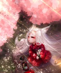  animal_ears bad_id bad_pixiv_id cherry_blossoms closed_eyes female fox_ears fox_tail original seguchi-sama solo tail white_hair 