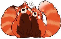  2012 :&lt; ailurid blue_eyes feral fluffy fluffy_tail frown fur green_eyes humanoid_pointy_ears looking_at_viewer mammal question_mark red_panda simple_background standing tail uni white_background 