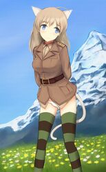  animal_ears belt blue_eyes brown_hair buckle cat_ears cat_girl cat_tail commentary_request female flower hair_down long_hair long_sleeves lynette_bishop military military_uniform mountain panties rasielcochma solo strike_witches striped_clothes striped_thighhighs tail thighhighs underwear uniform world_witches_series 