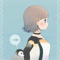  ayu_(mog) baby_penguin bad_id bad_pixiv_id bird black_choker blue_background blue_eyes blush bright_pupils choker emperor_penguin female from_side grey_hair hair_ornament hairclip original penguin profile shirt short_hair solo spoken_animal 