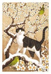  animal animal_focus apple_tree bird border branch dragon_li_cat feline flower japanese_white-eye looking_at_viewer no_humans original snow takigraphic tree white_border white_flower 