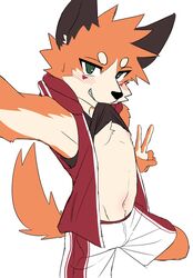  anthro blush bodily_fluids bulge canid canine clothed clothing clothing_lift countershading fox foxy_(nekojita) gesture hand_gesture hi_res kemono male mammal manadezimon nekojishi nipples open_clothing open_topwear open_vest seductive selfie shirt shirt_lift solo studio_klondike sweat sweatdrop topwear v_sign vest young young_anthro young_male 