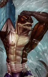  abs anthro beard biceps book clothed clothing facial_hair fur hi_res male mammal manly maverick_gunshow muscular muscular_anthro muscular_male mustelid otter pecs shower solo thescarletartist topless wet 