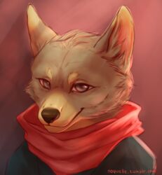  2018 anthro brown_body brown_fur canid canine canis clothing coyote digital_media_(artwork) fur grey_eyes looking_at_viewer male mammal mtd_(dudeman147) noquelle scarf solo 